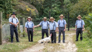 Image of The Amish Outlaws